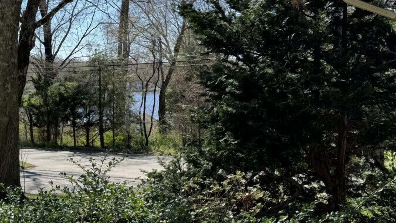 Photo of Outdoor in Old Lyme