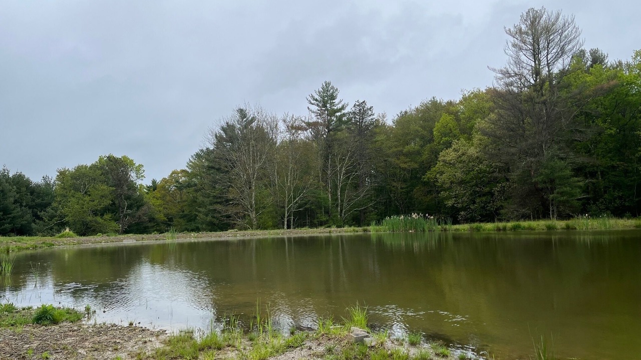 Photo of Outdoor in Sparrow Bush