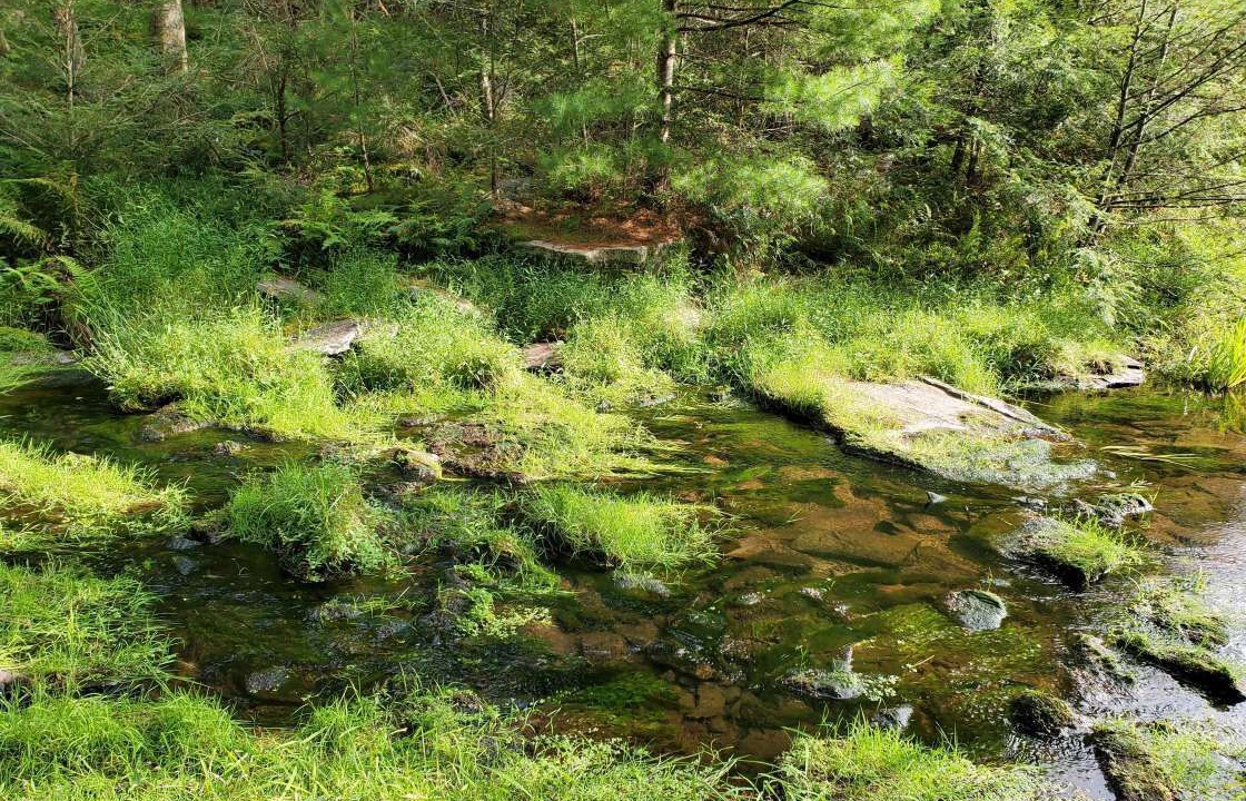 Photo of Outdoor in Sparrow Bush