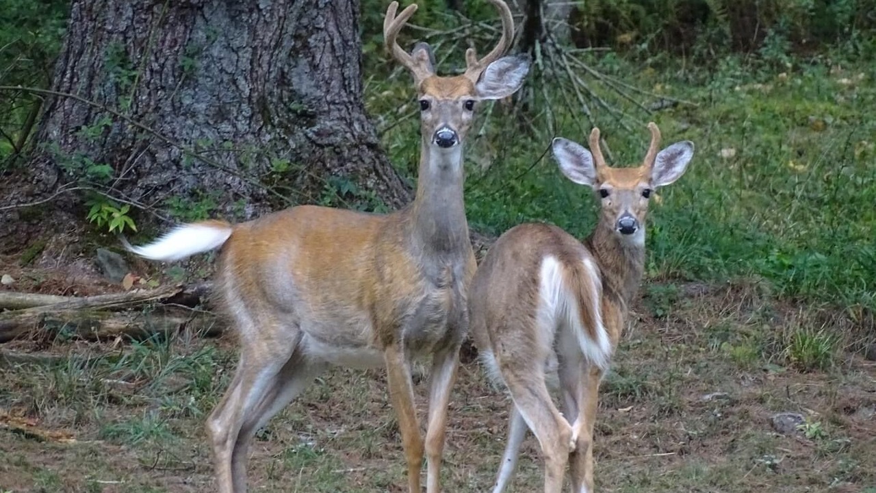 Photo of Others in Roscoe