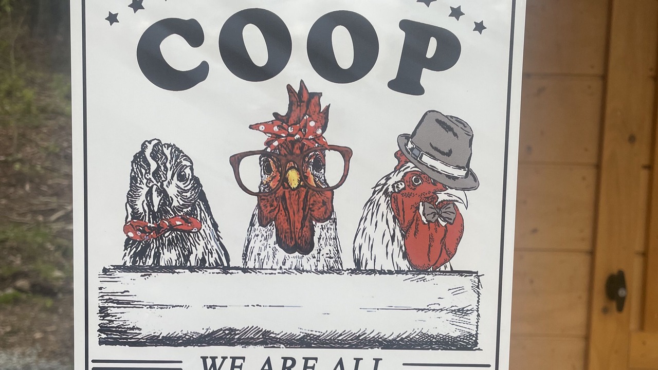 Photo of Others in Roscoe