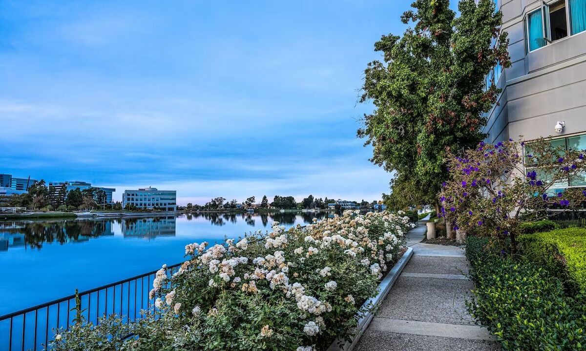 Photo of Outdoor in Redwood Shores