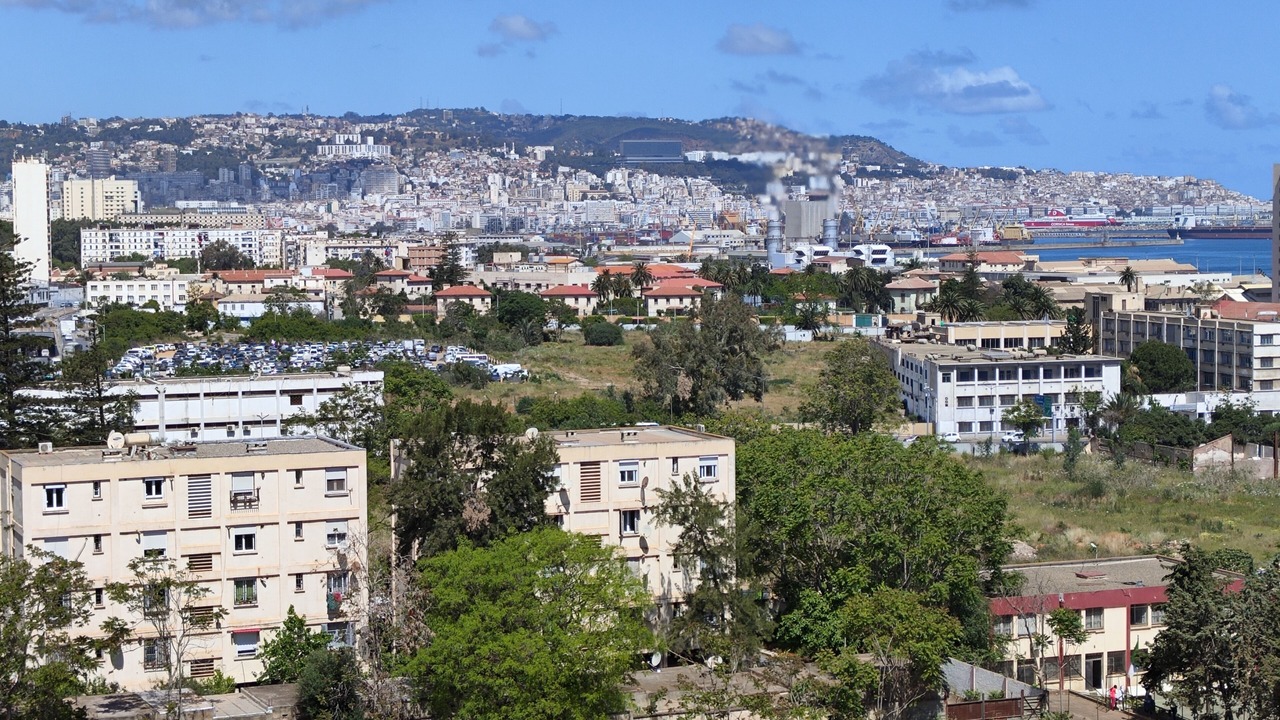 Photo of Others in Algiers