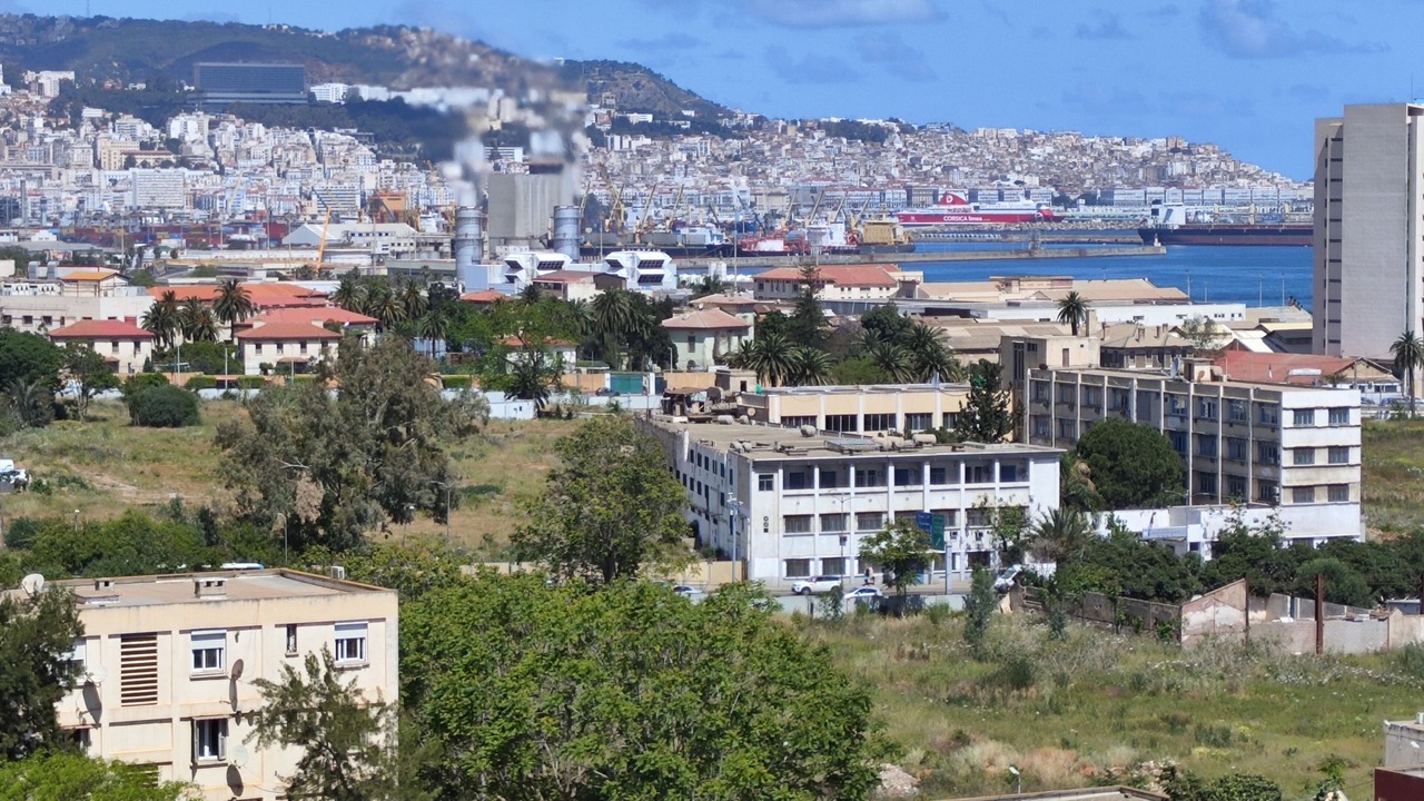 Photo of Others in Algiers