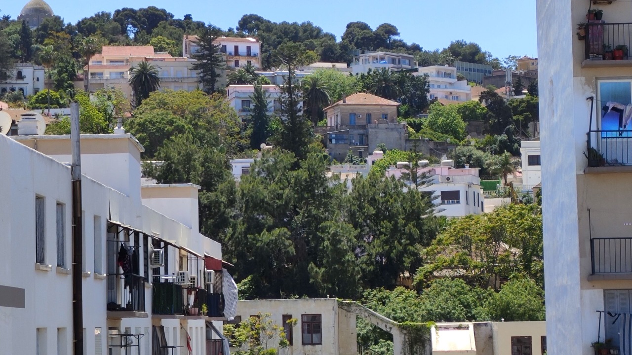 Photo of Others in Algiers