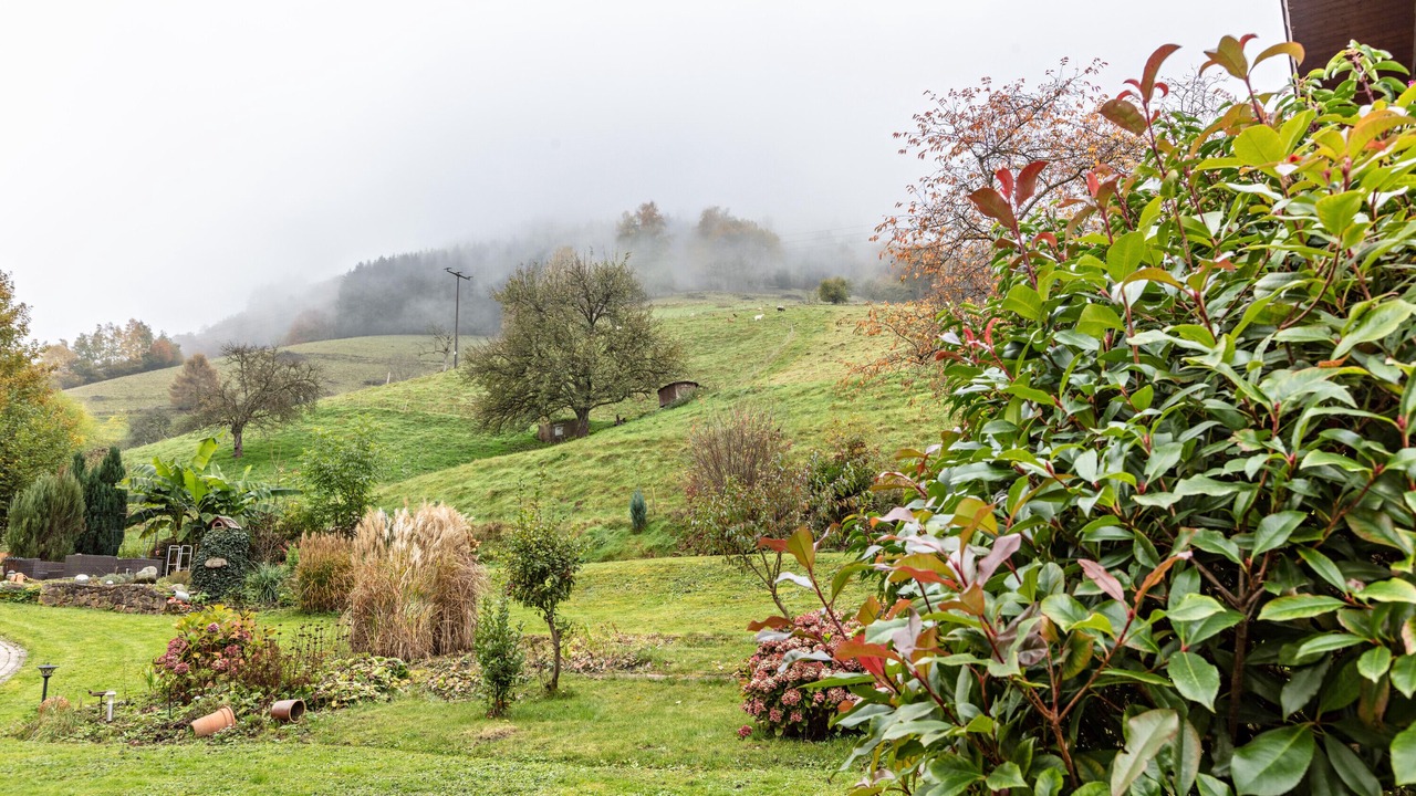 Photo of Outdoor in Untermunstertal