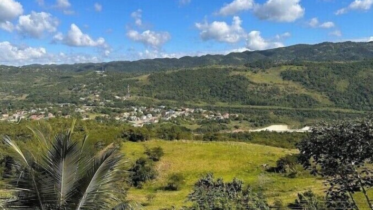 Photo of Outdoor in Mandeville
