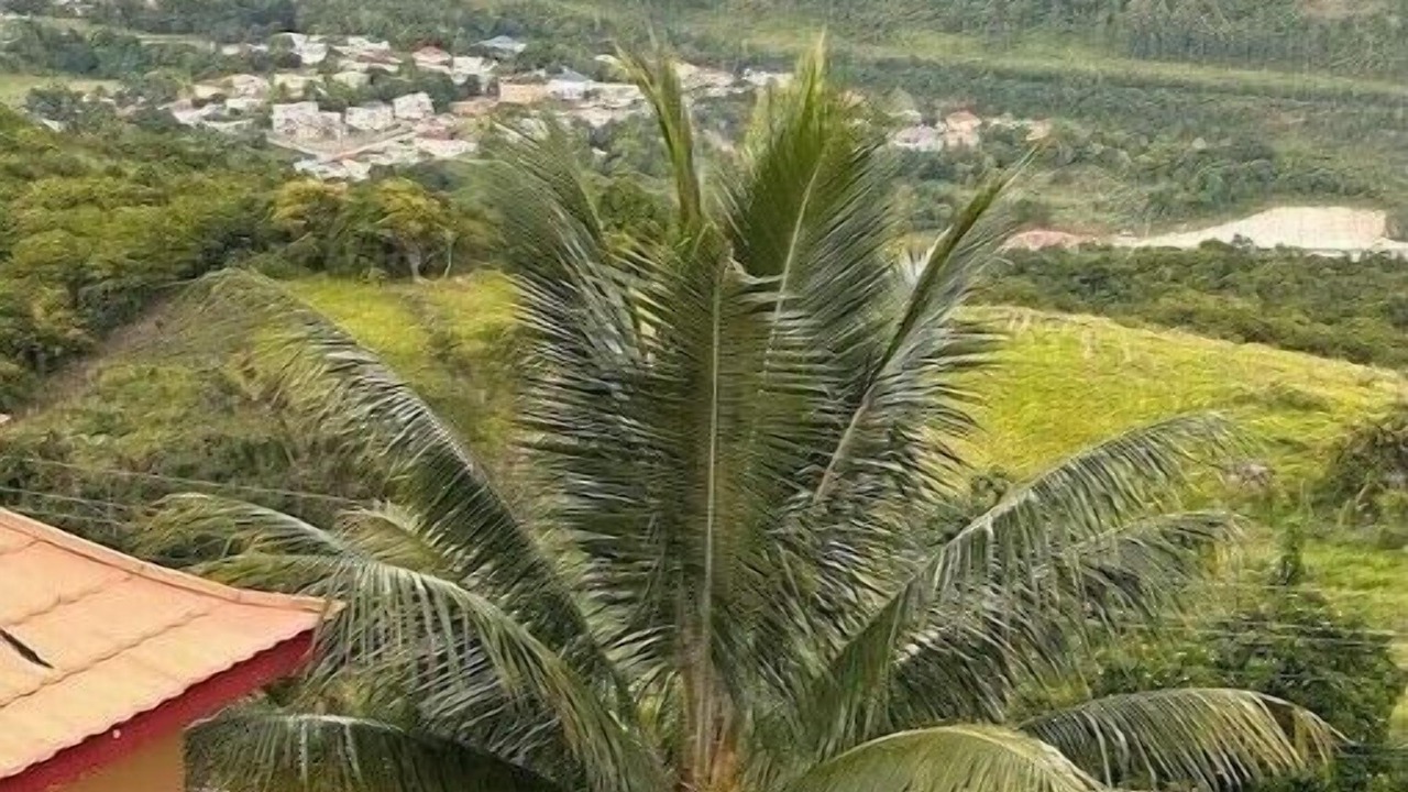 Photo of Others in Mandeville