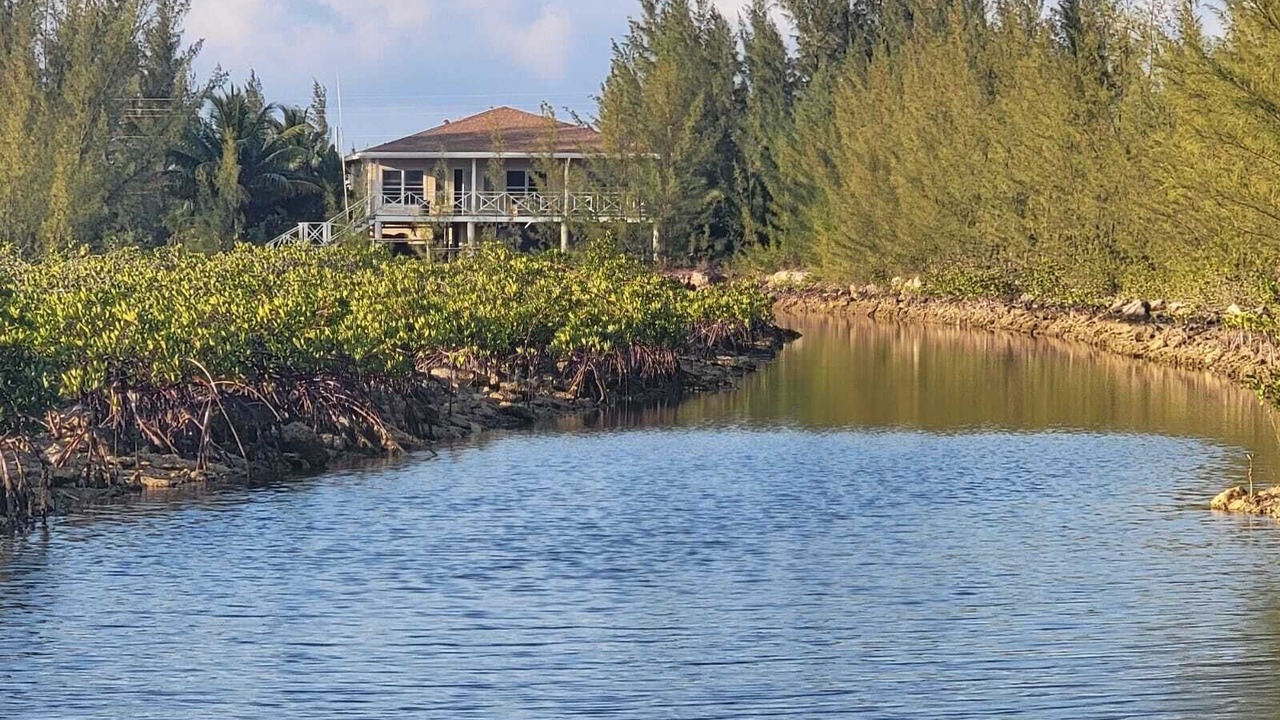 Photo of Others in Port Royal