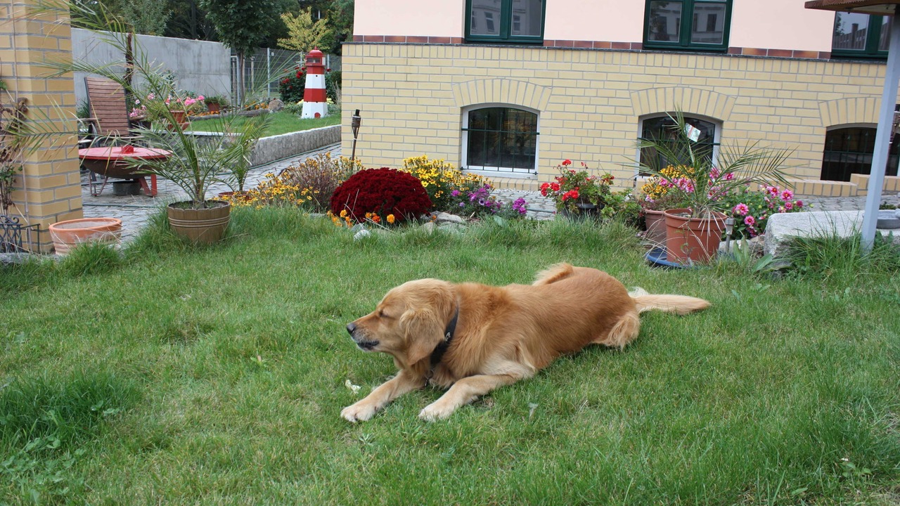 Photo of Outdoor in Neuschonefeld