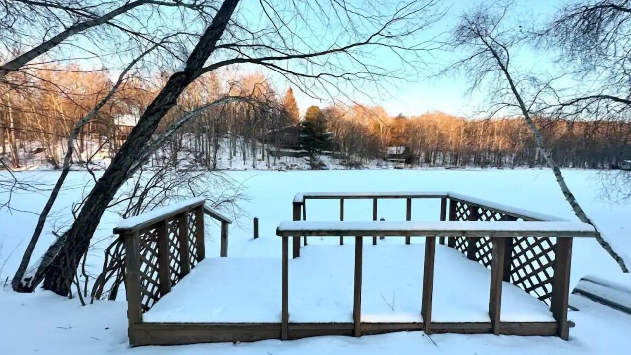 Photo of Outdoor in Swan Lake