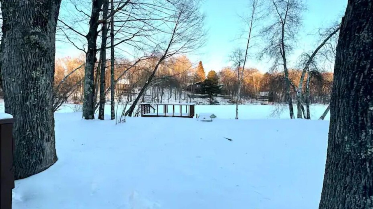 Photo of Outdoor in Swan Lake