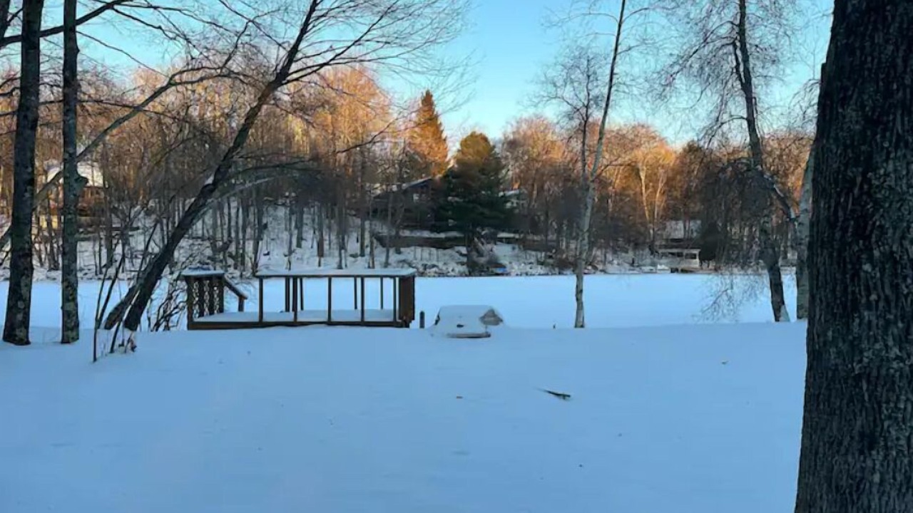 Photo of Outdoor in Swan Lake