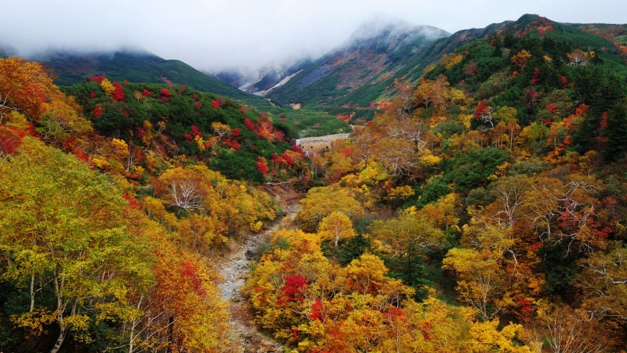 Photo of Outdoor in Sorachi-gun