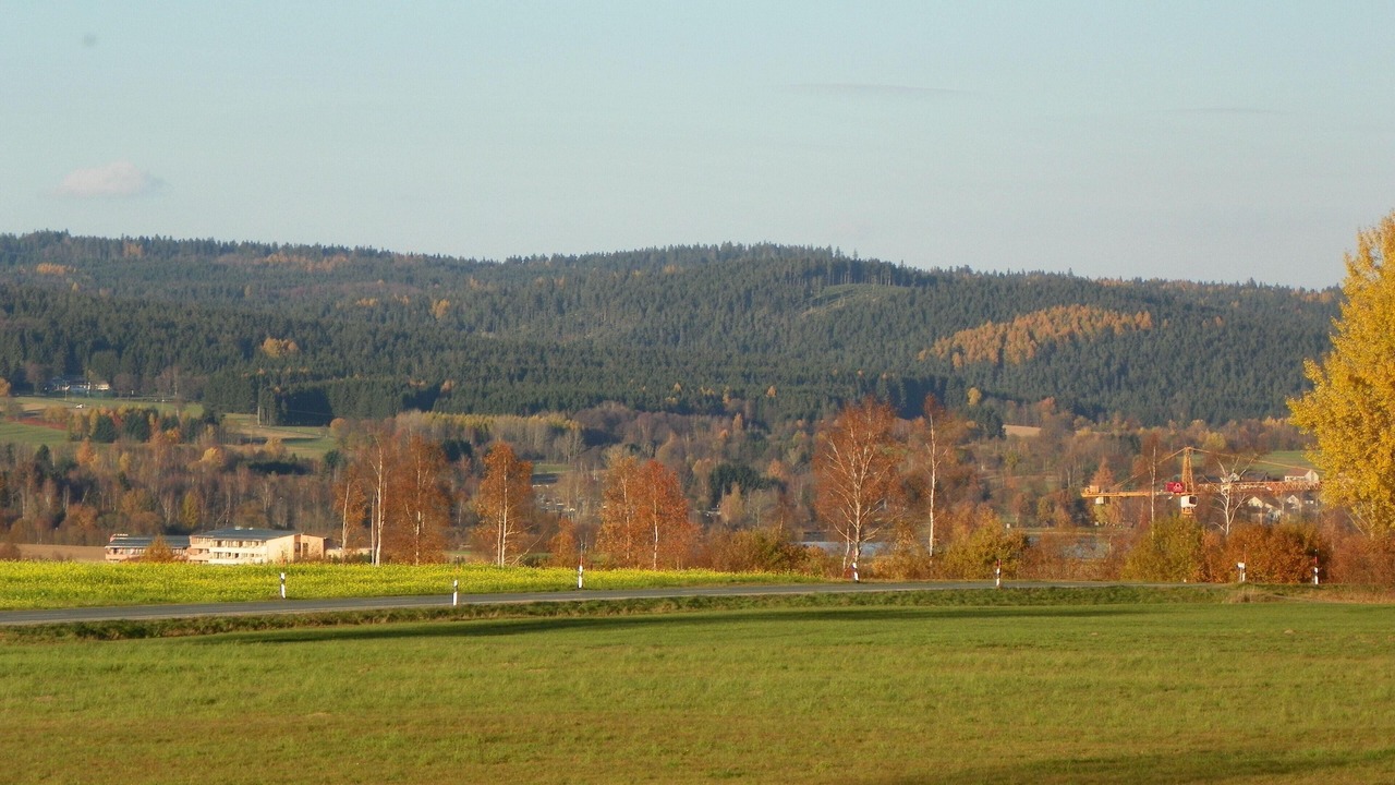 Photo of Others in Schonlind