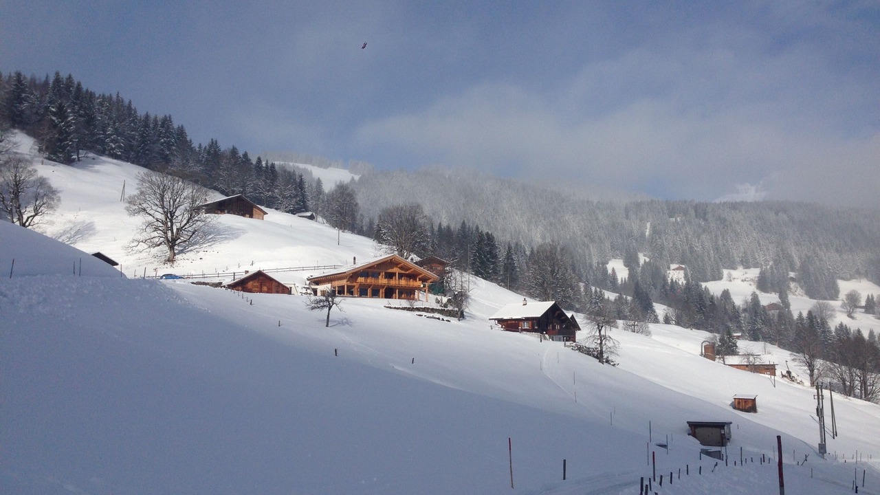 Photo of Others in Grindelwald
