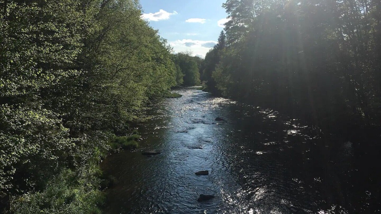 Photo of Others in Livingston Manor