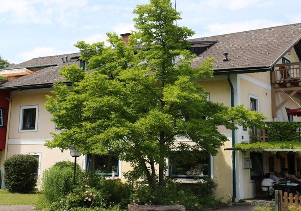 Photo of Outdoor in Attersee