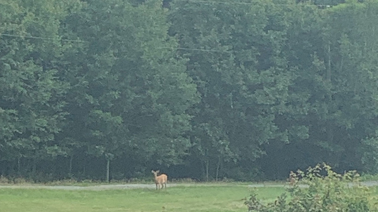 Photo of Others in Mill Cove