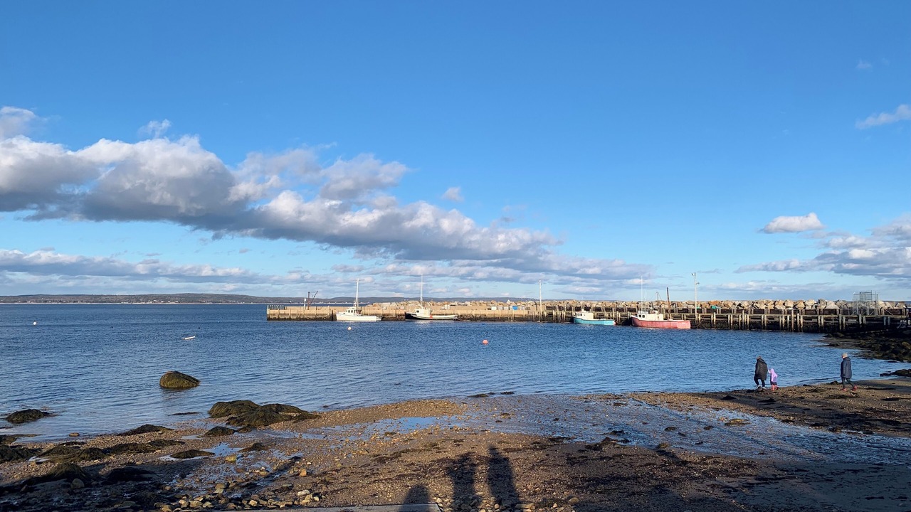 Photo of Others in Mill Cove