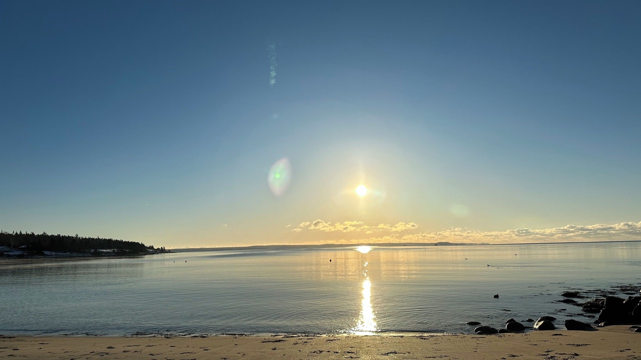 Photo of Others in Mill Cove