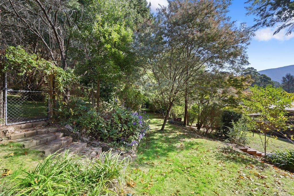 Photo of Outdoor in Warburton