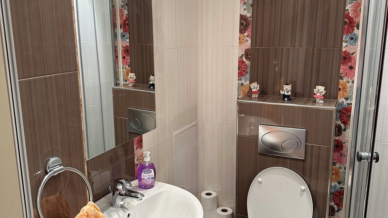 Photo of Bathroom in Vitosha District