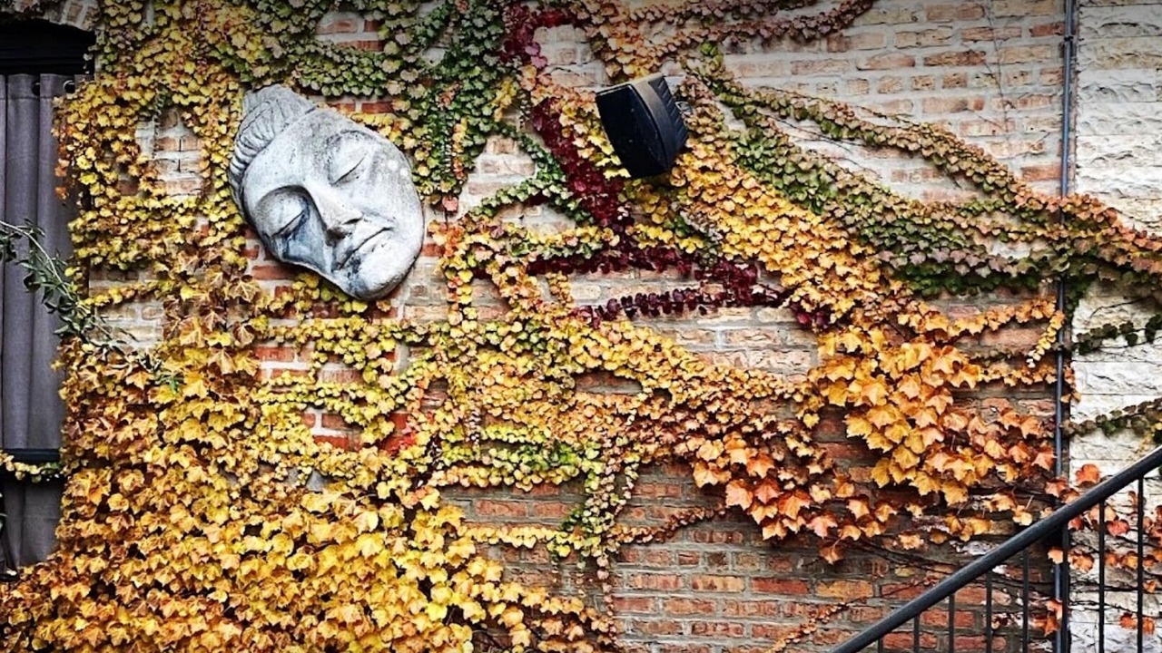 Photo of Outdoor in East Village