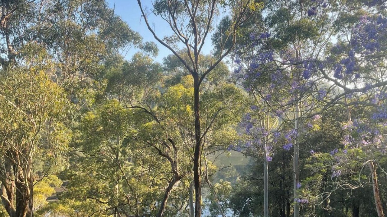 Photo of Outdoor in Grays Point