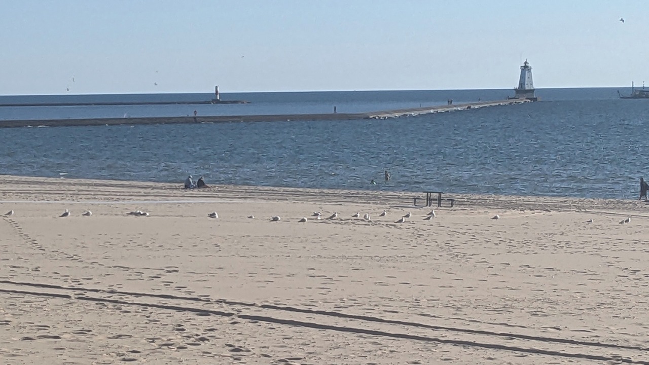 Photo of Others in Ludington