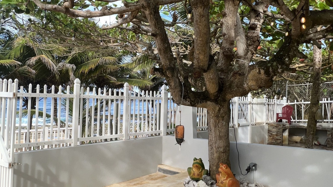 Photo of Outdoor in Manati
