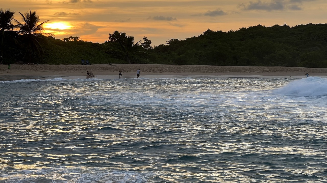 Photo of Others in Manati