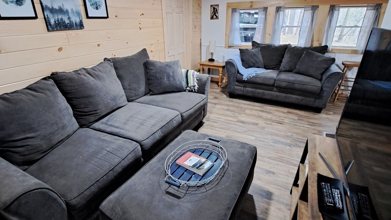 Photo of Livingroom in Town of Lyonsdale
