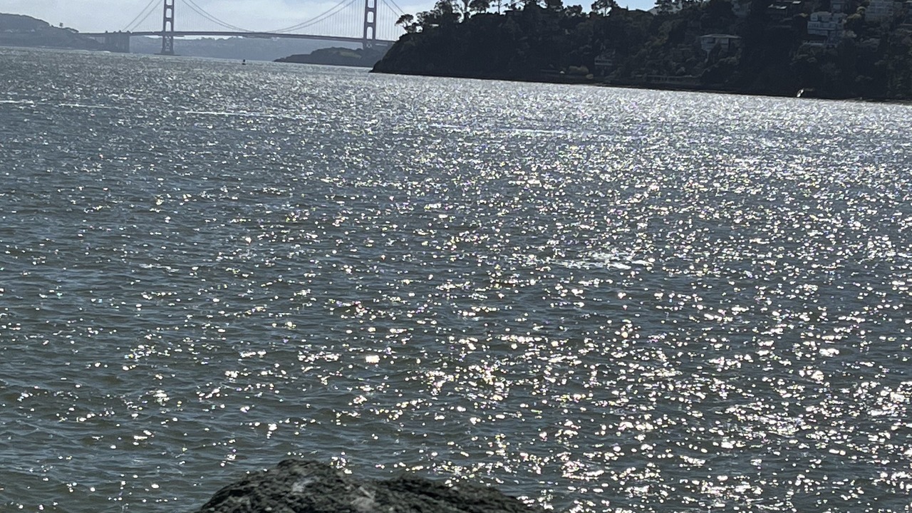 Photo of Others in Belvedere Tiburon