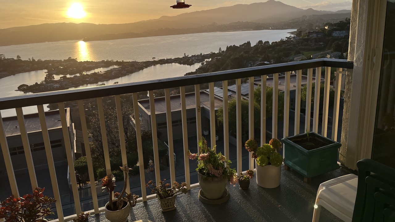 Photo of Patio Balcony in Belvedere Tiburon