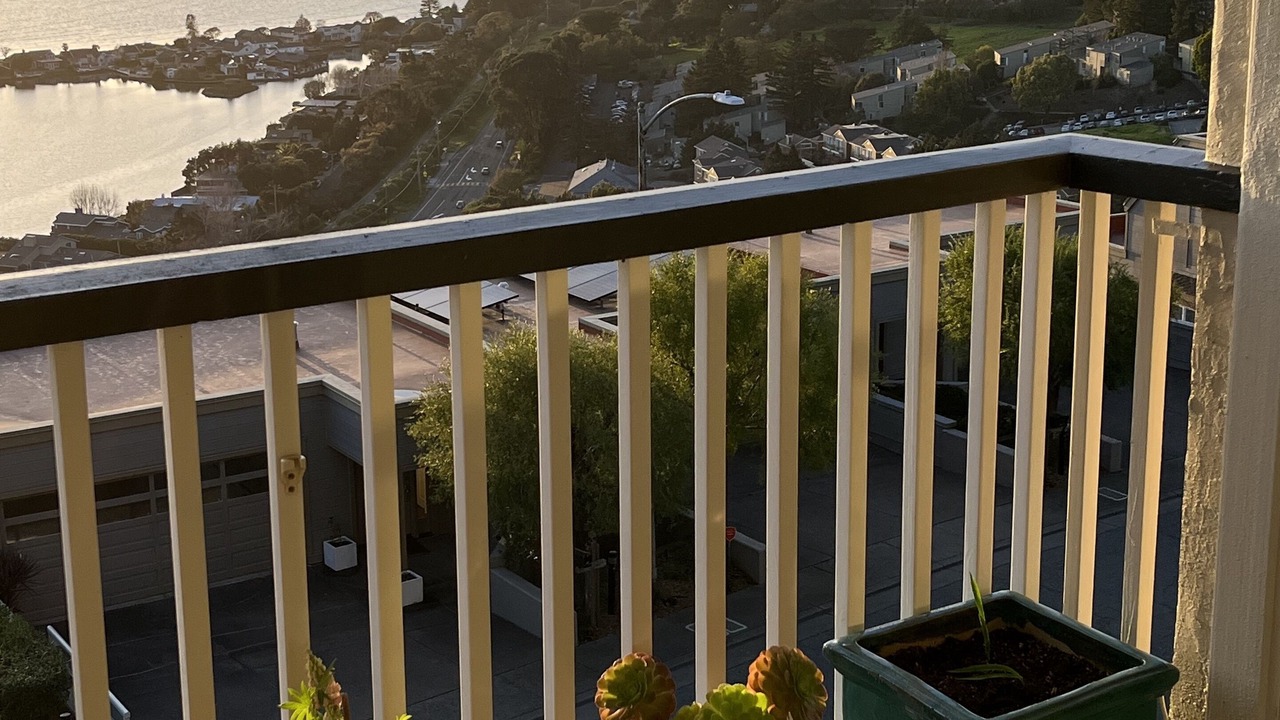 Photo of Patio Balcony in Belvedere Tiburon