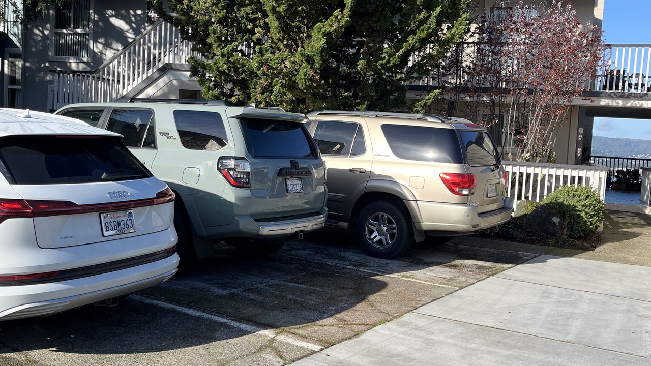 Photo of Others in Belvedere Tiburon
