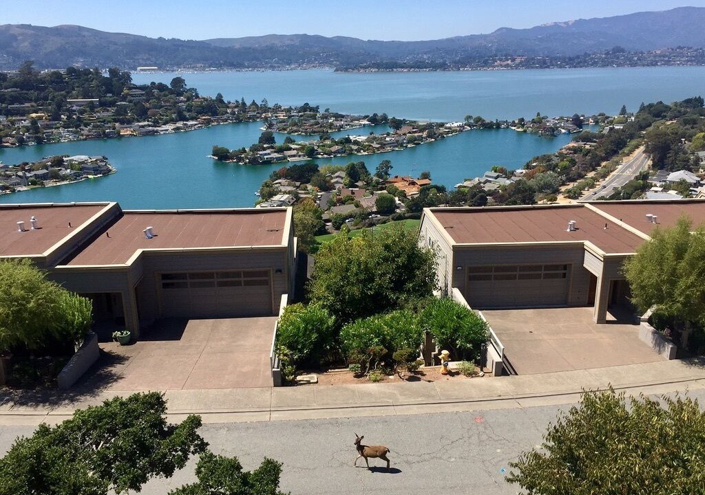 Photo of Patio Balcony in Belvedere Tiburon