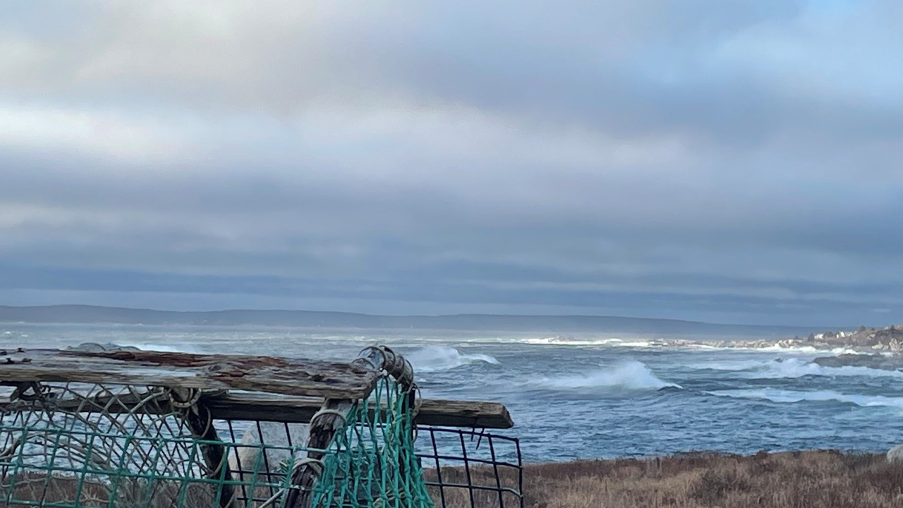Photo of Others in Peggy's Cove