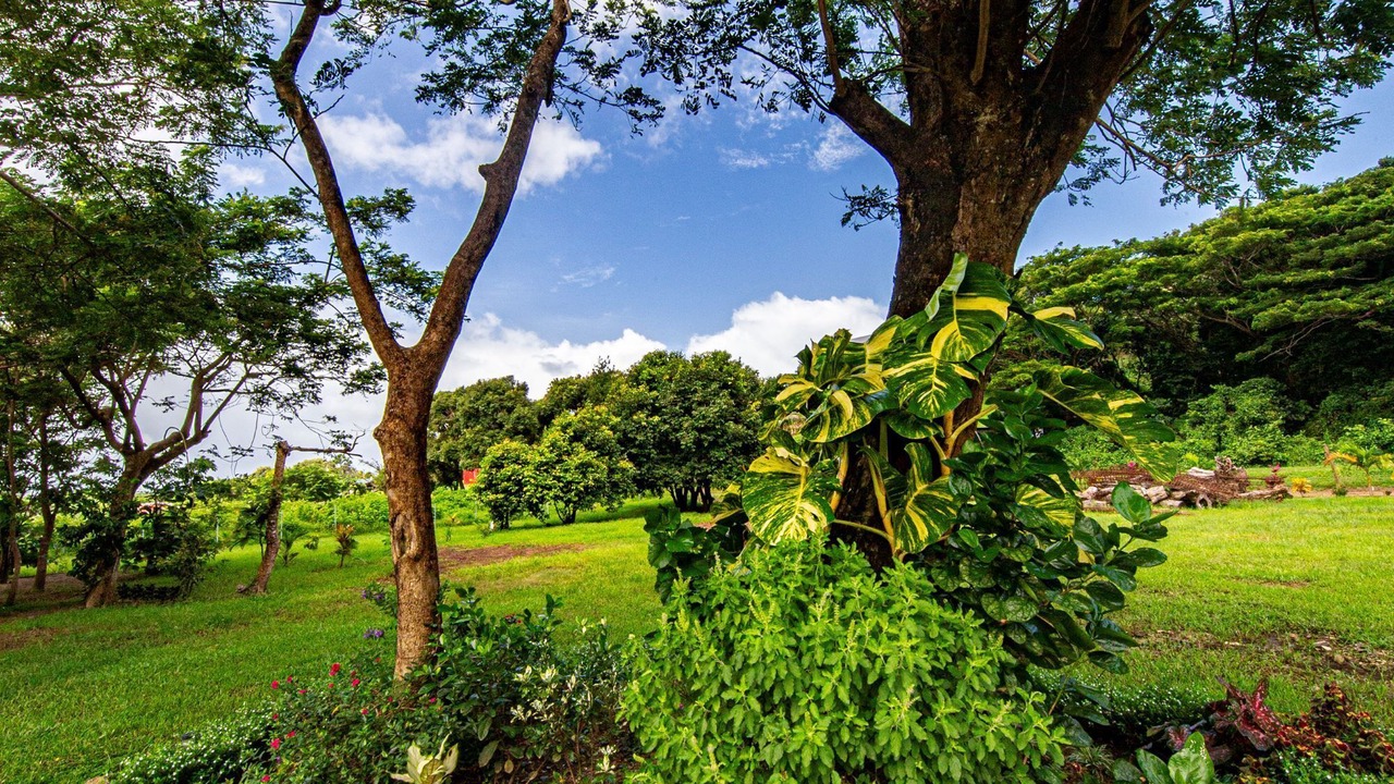 Photo of Outdoor in Tagaqe
