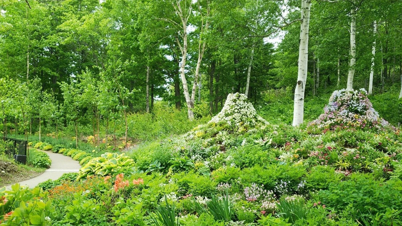 Photo of Outdoor in Kamikawa