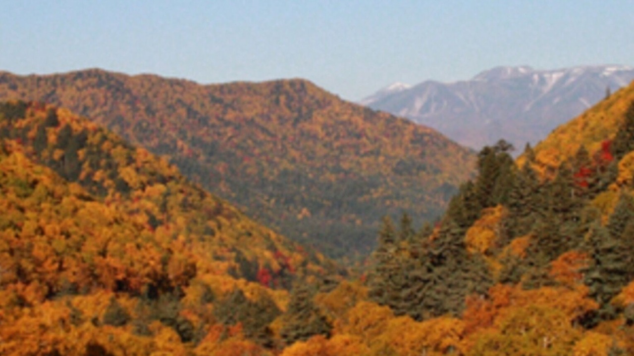 Photo of Outdoor in Kamikawa