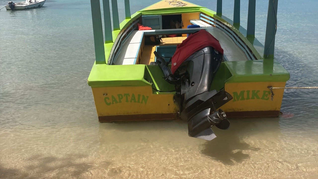 Photo of Others in Green Island
