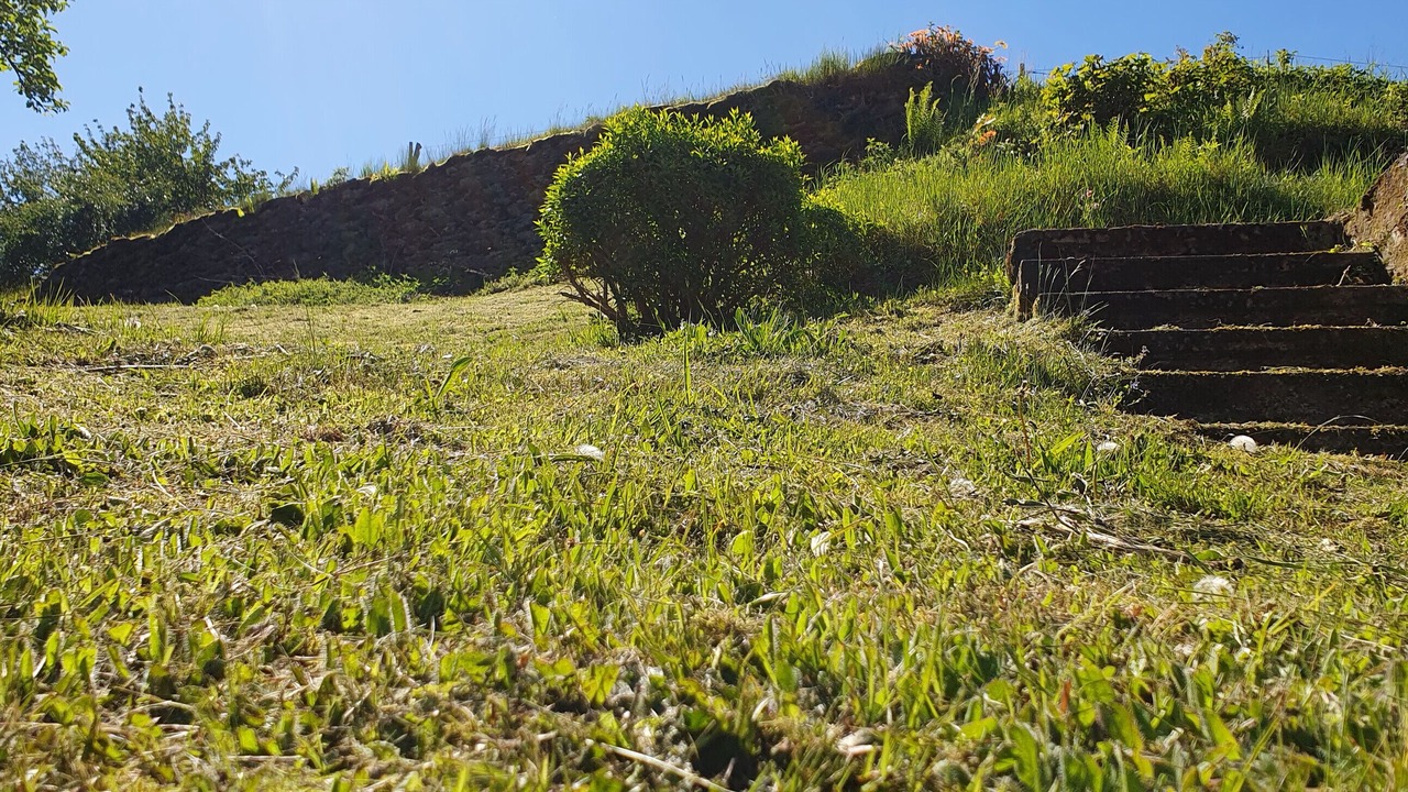 Photo of Outdoor in Bornichen
