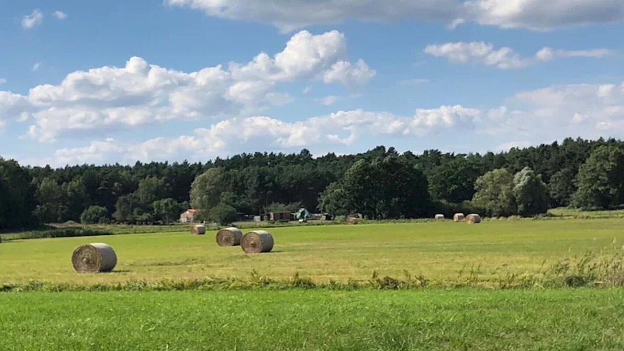 Photo of Others in Nuthe-Urstromtal