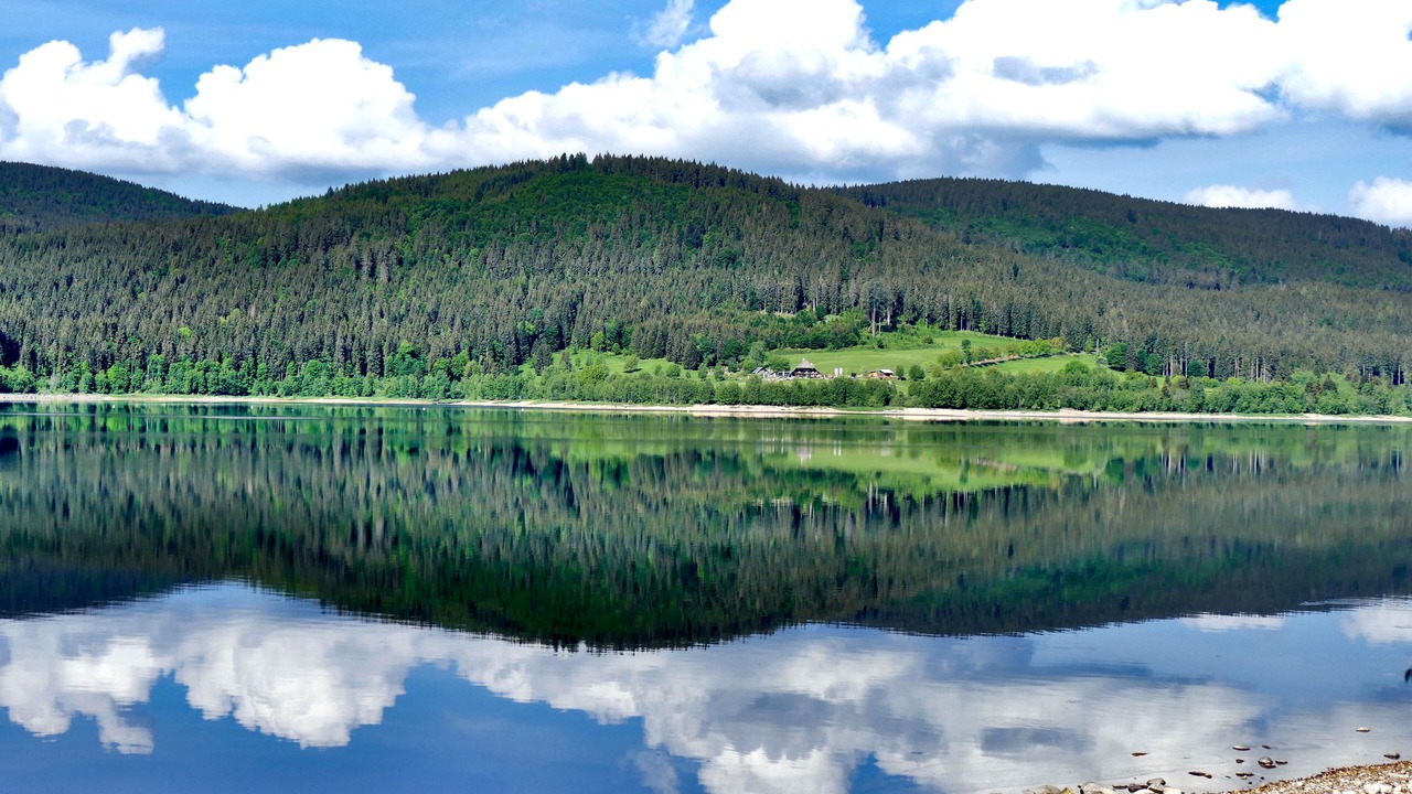 Photo of Others in Todtnauberg