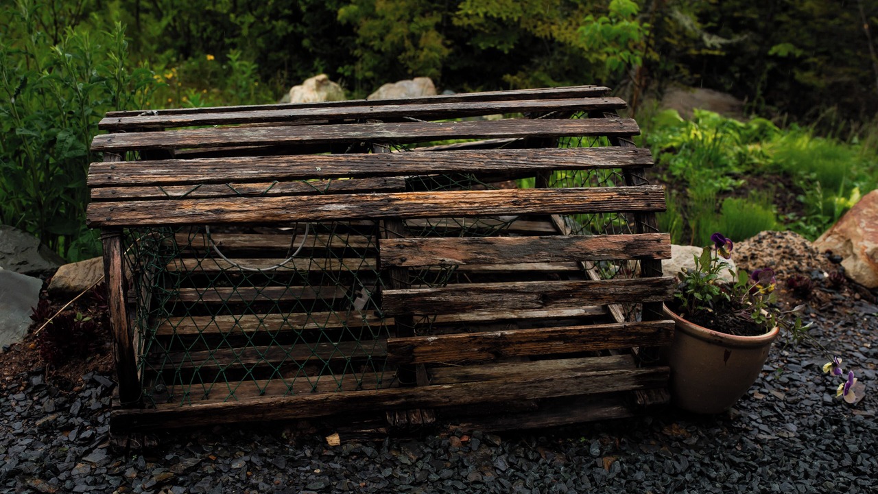 Photo of Outdoor in Head of Jeddore