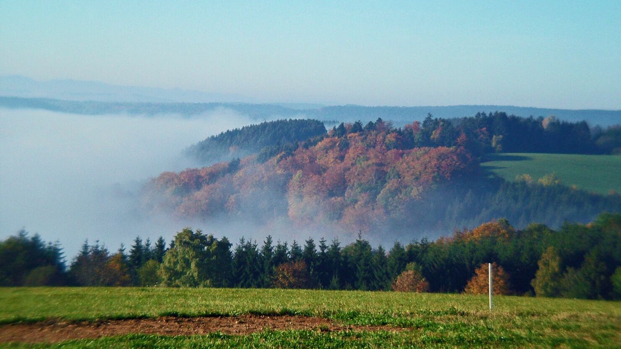 Photo of Others in Wolpadingen