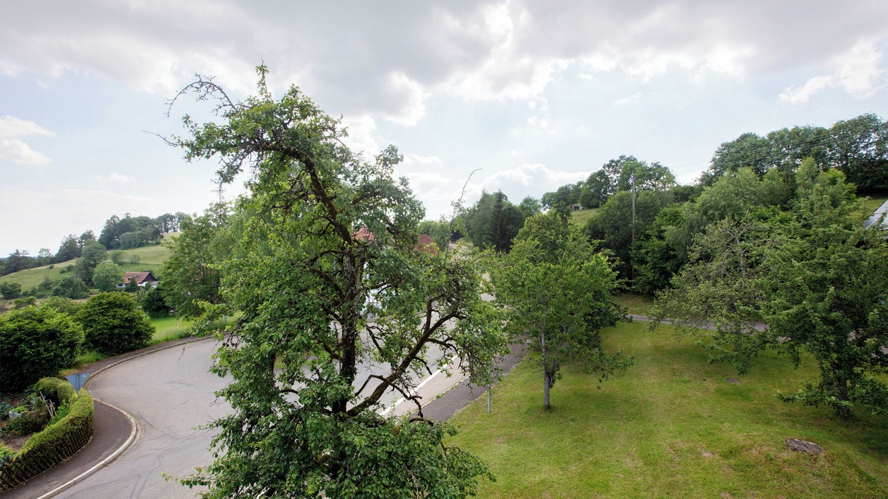 Photo of Others in Wolpadingen