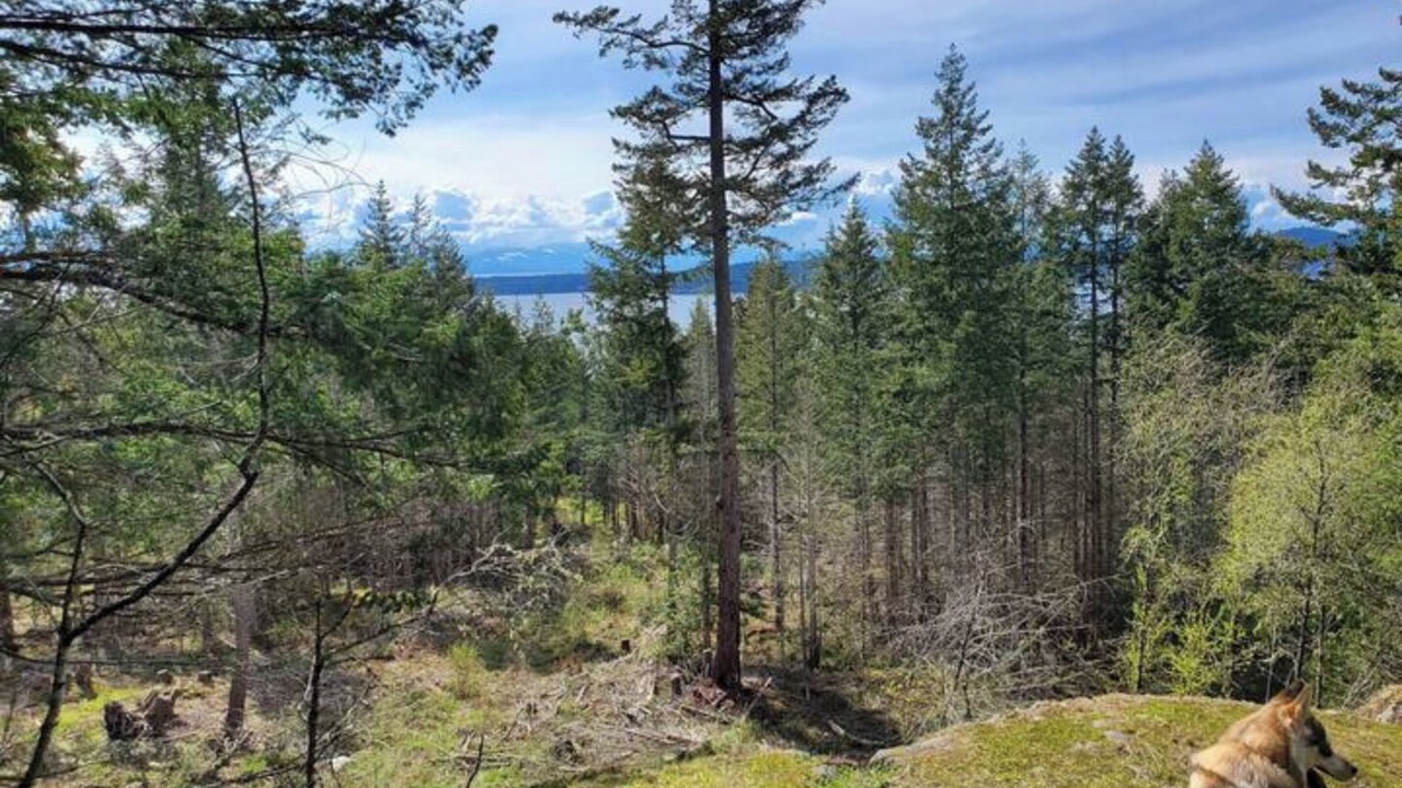 Photo of Outdoor in Halfmoon Bay